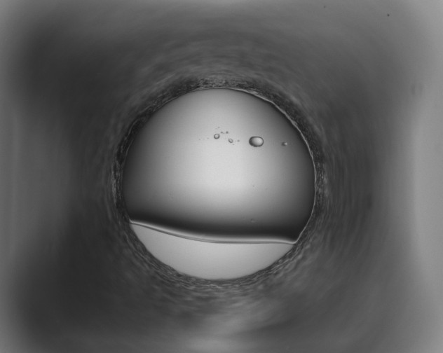 X0000089941493200706290805