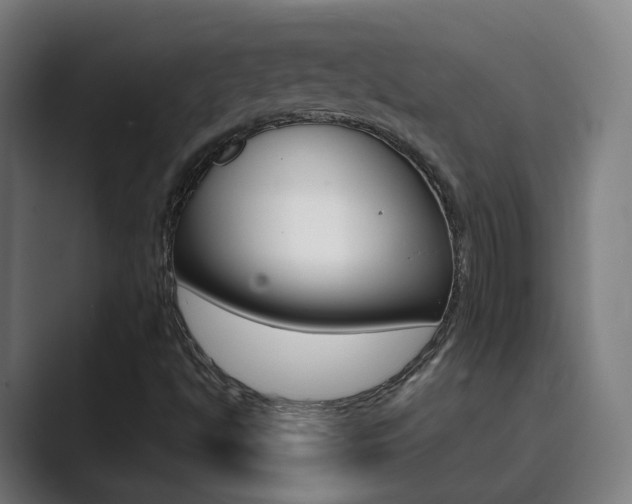 X0000089941494200706290805