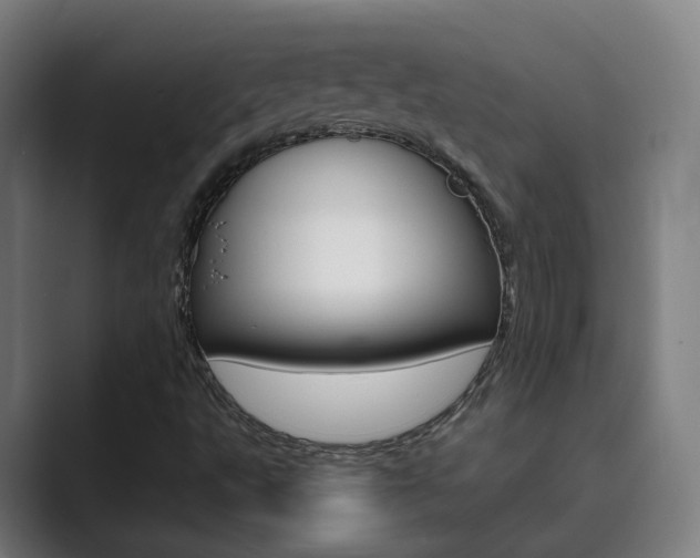 X0000089941495200706290805