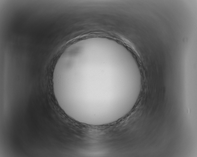 X0000089941496200706290805