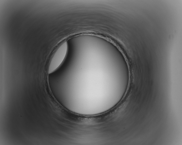 X0000089941497200706290805
