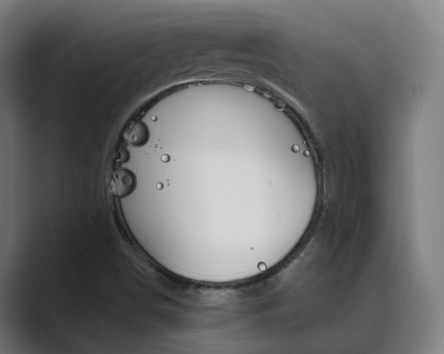 X0000089941498200706290805