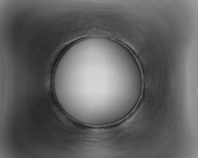 X0000089941499200706290805