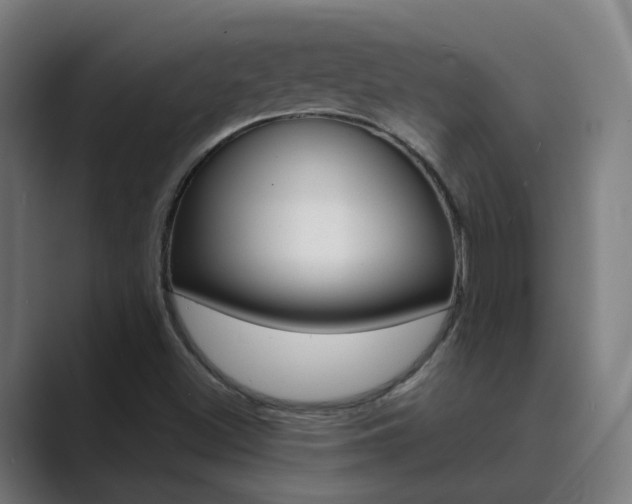 X0000089941500200706290805
