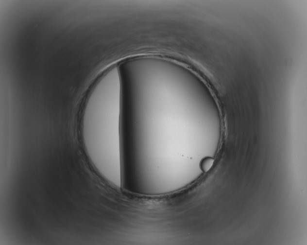 X0000089941501200706290805