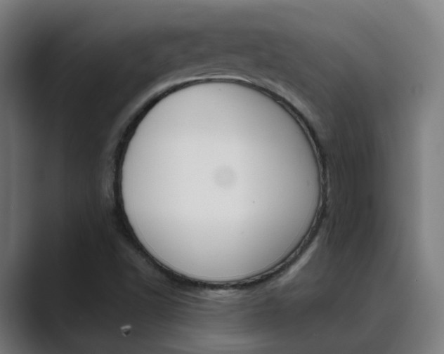 X0000089941502200706290805