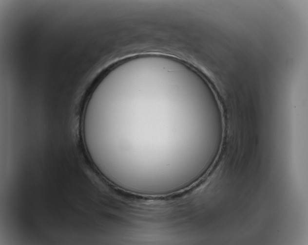 X0000089941503200706290805