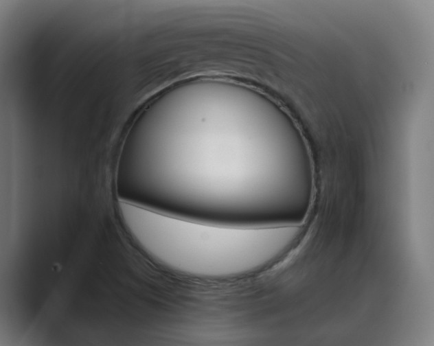 X0000089941505200706290805