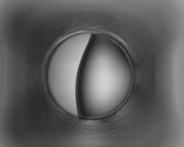 X0000089941506200706290805