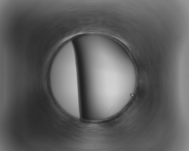 X0000089941507200706290805