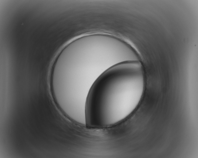X0000089941508200706290805