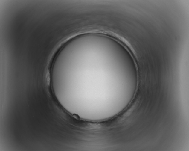 X0000089941509200706290805
