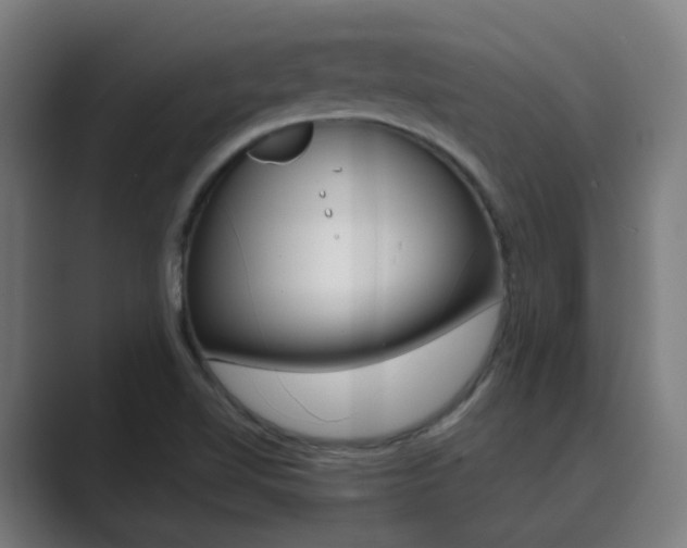 X0000089941510200706290805