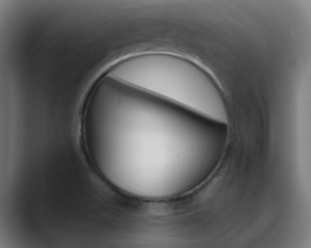X0000089941511200706290805