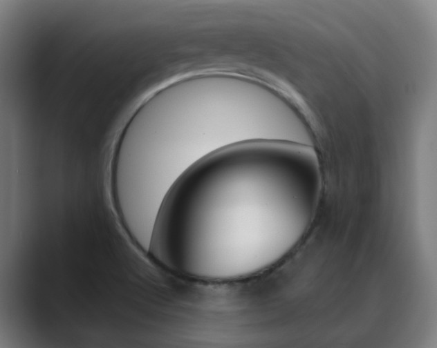 X0000089941512200706290805