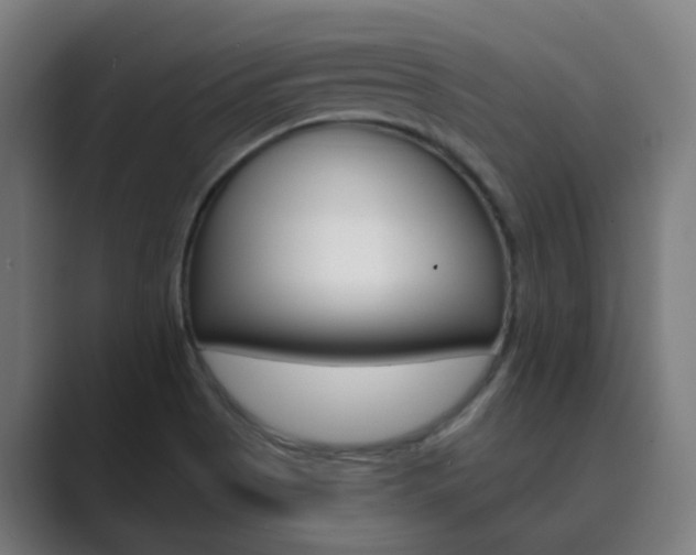 X0000089941513200706290805