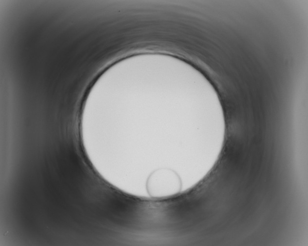 X0000089941514200706290805