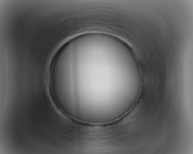 X0000089941515200706290805