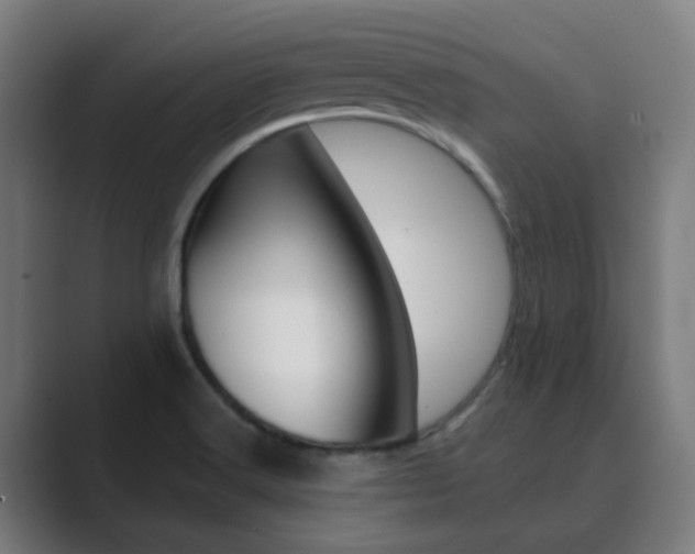 X0000089941516200706290805