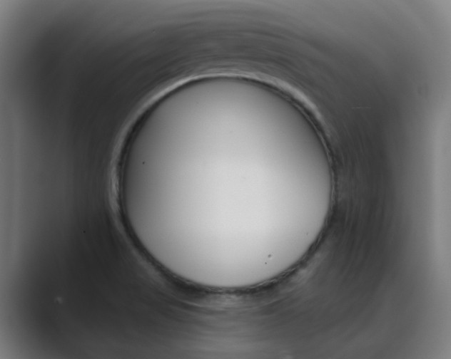 X0000089941517200706290805