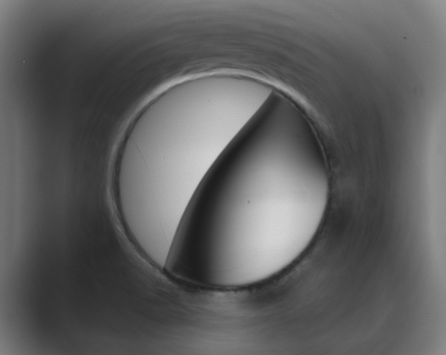 X0000089941518200706290805