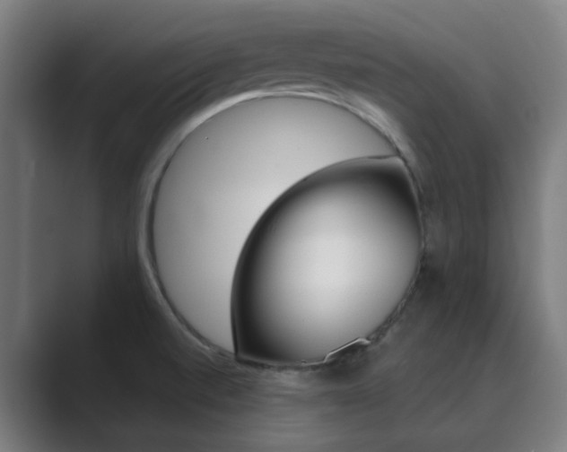 X0000089941520200706290805