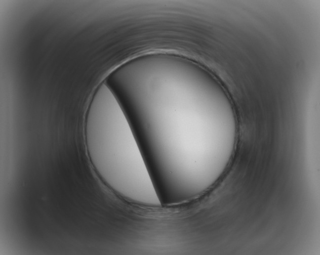 X0000089941521200706290805