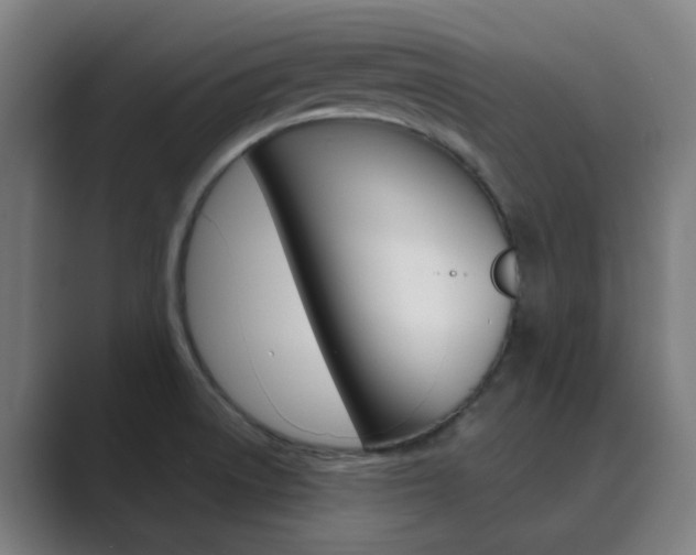 X0000089941522200706290805