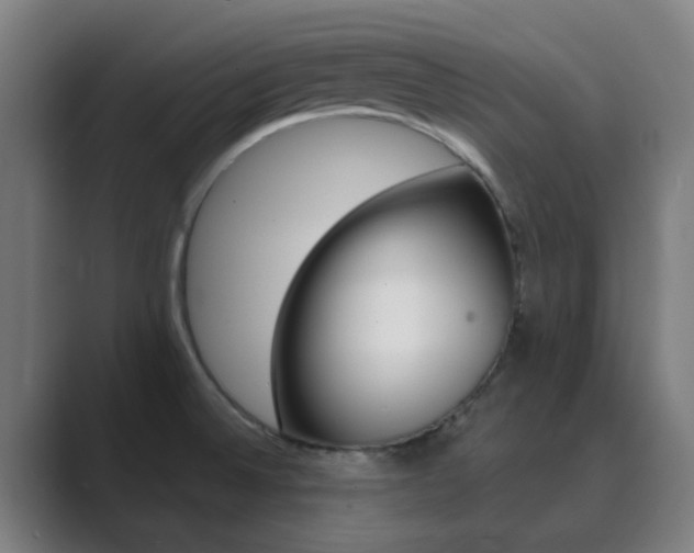 X0000089941524200706290805