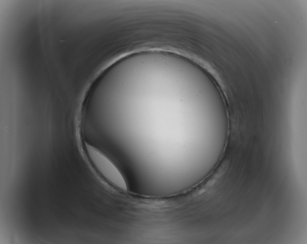 X0000089941525200706290805