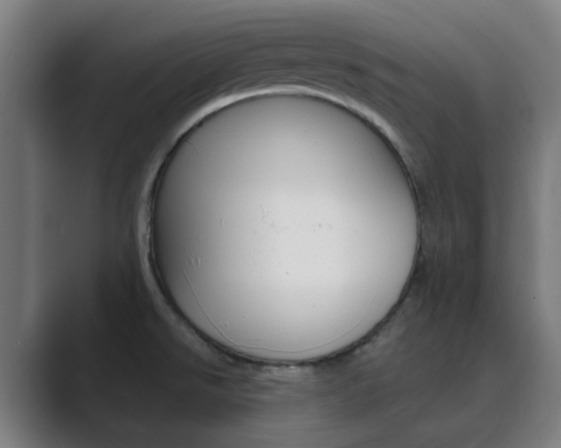 X0000089941526200706290805