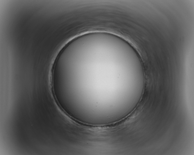 X0000089941527200706290805