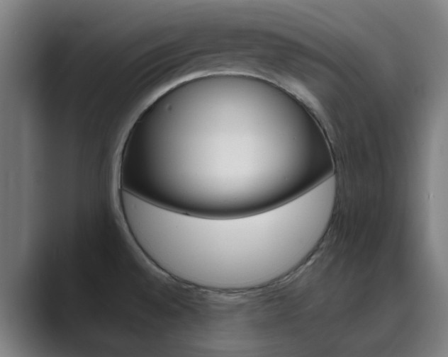 X0000089941528200706290805