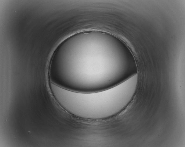X0000089941530200706290805