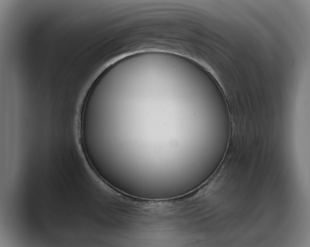X0000089941531200706290805