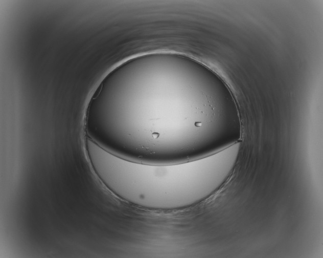 X0000089941532200706290805