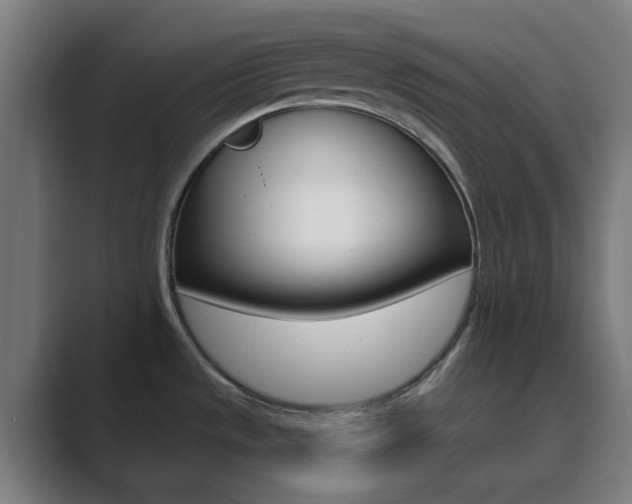 X0000089941533200706290805