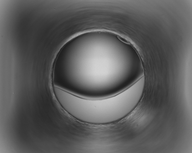 X0000089941534200706290805