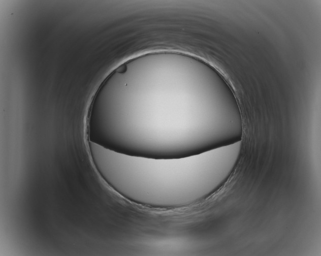 X0000089941535200706290805