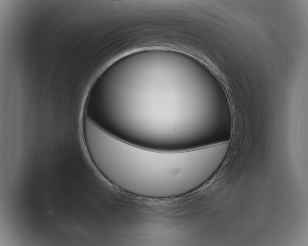 X0000089941536200706290805