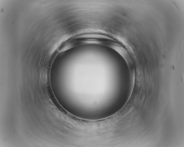 X0000089940015200706291234