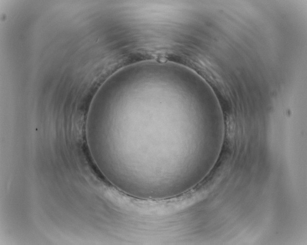 X0000089940030200706291233