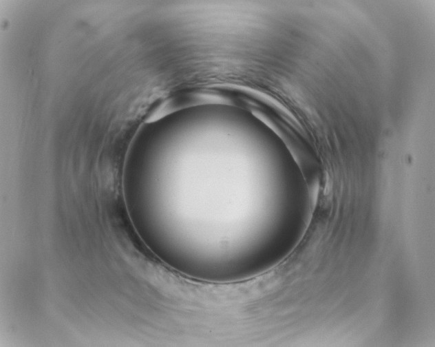X0000089940031200706291233
