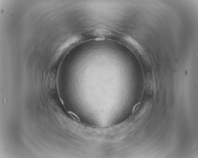 X0000089940043200706291233