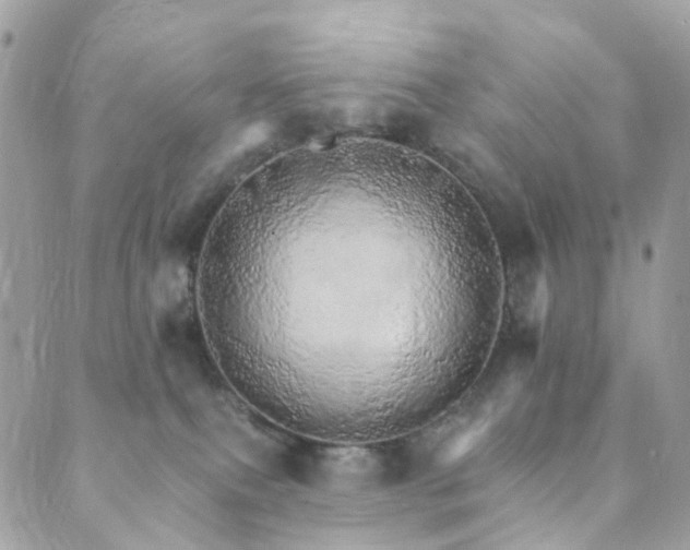 X0000089940087200706291233