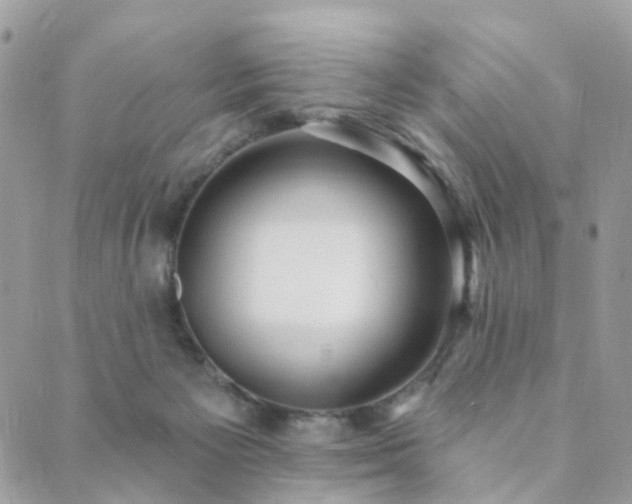 X0000089940125200706291232