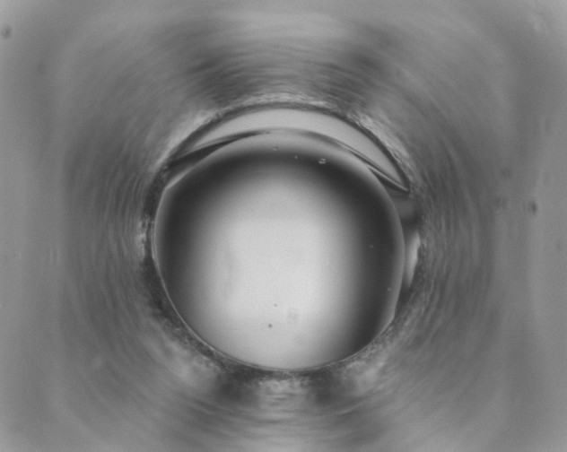 X0000089940160200706291231