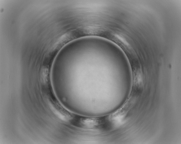 X0000089940171200706291231