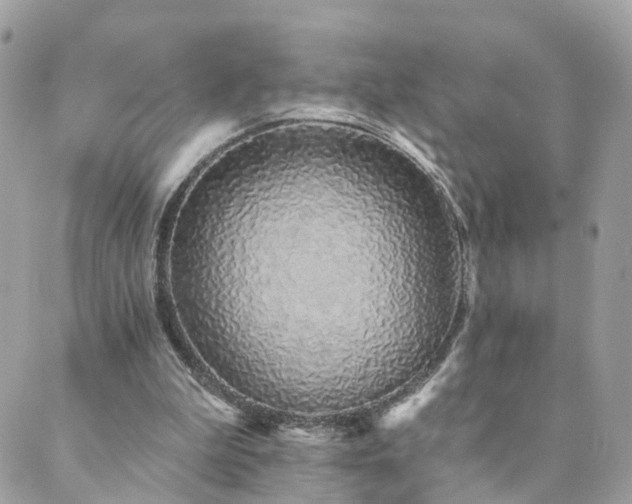 X0000089940199200706291231
