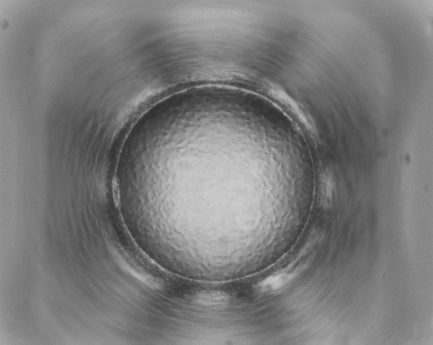 X0000089940203200706291231